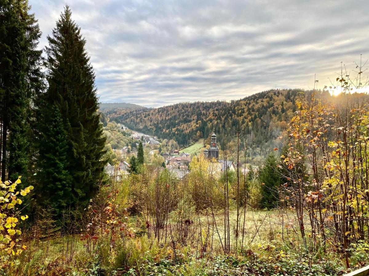 Apartment-Chalet Panorama Todtmoos Zewnętrze zdjęcie