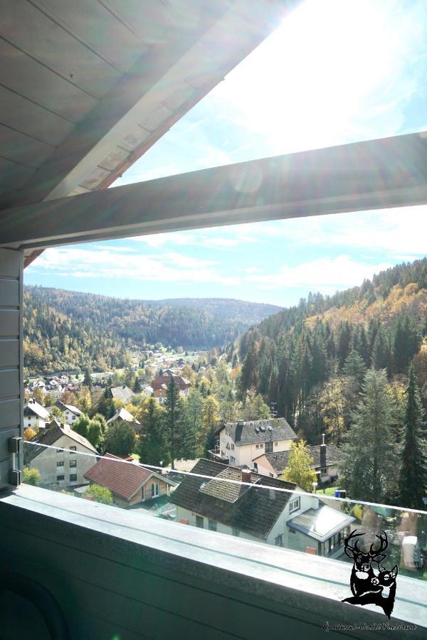Apartment-Chalet Panorama Todtmoos Zewnętrze zdjęcie